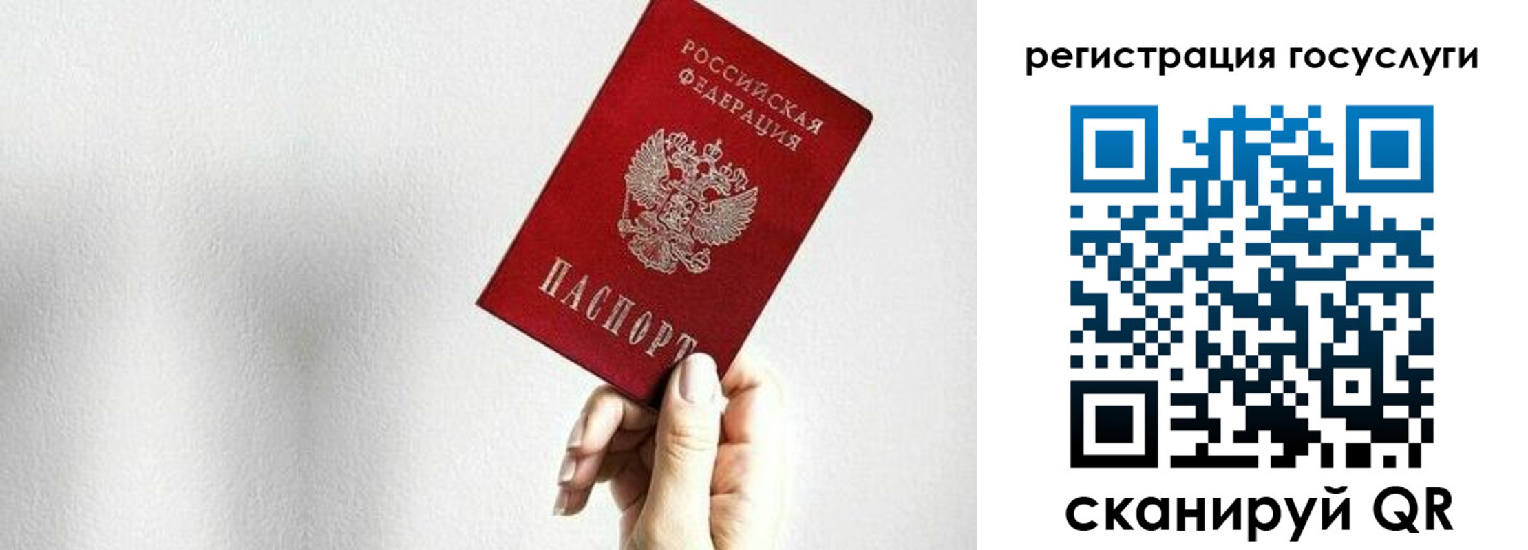 прописка гарантия в Кропоткине